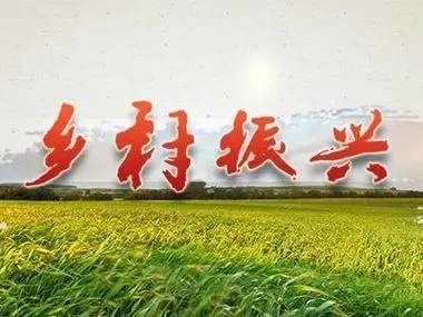 u=4147657013,3820616084&fm=253&fmt=auto&app=138&f=JPEG.webp.jpg